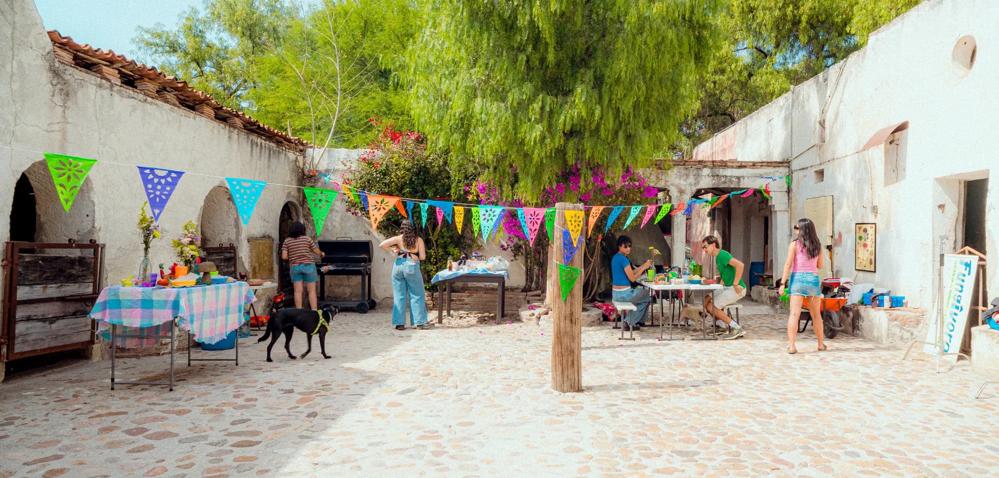 Fungívora, La Experiencia, fin de semana en la granja