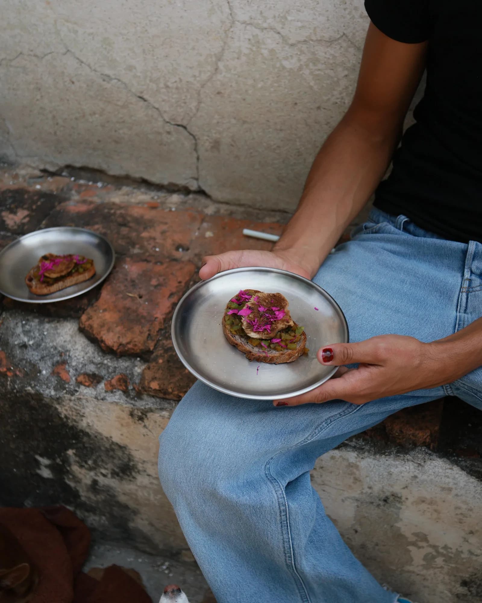 Plato con Melena de león