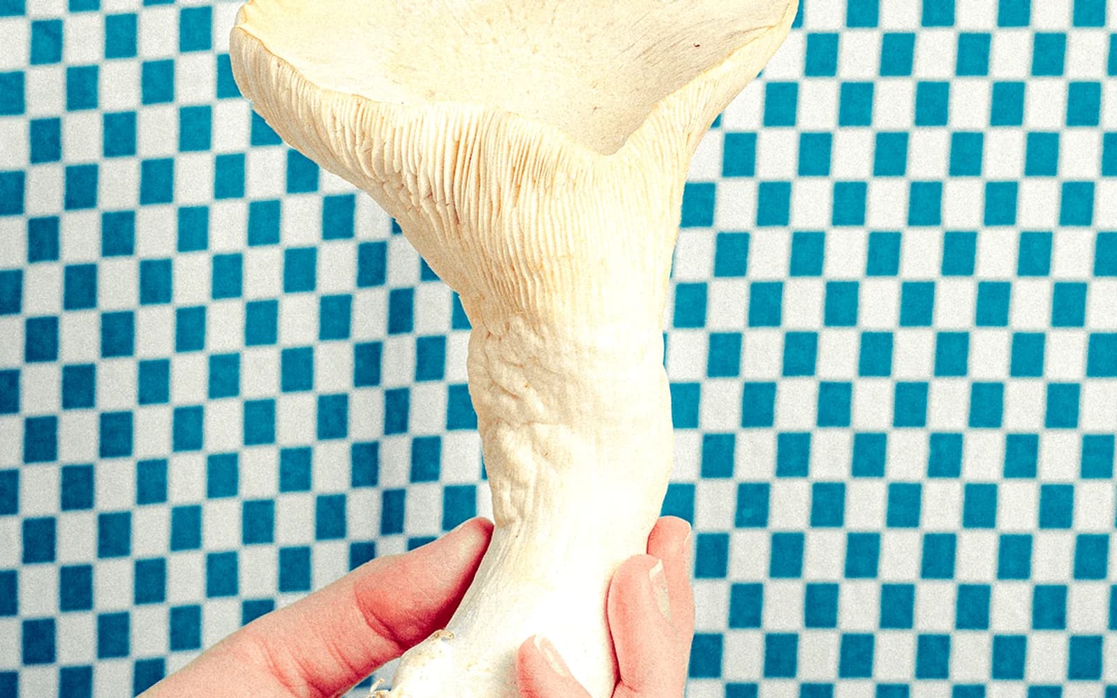 Mushrooms al ajillo with Guajillo
